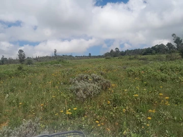 Farm & Agricultural Land