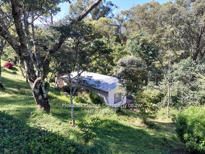 Chimanimani