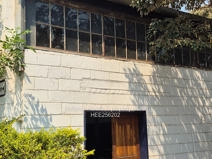 Massive Property In Willowvale