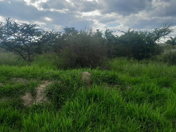 Commercial & Industrial Land