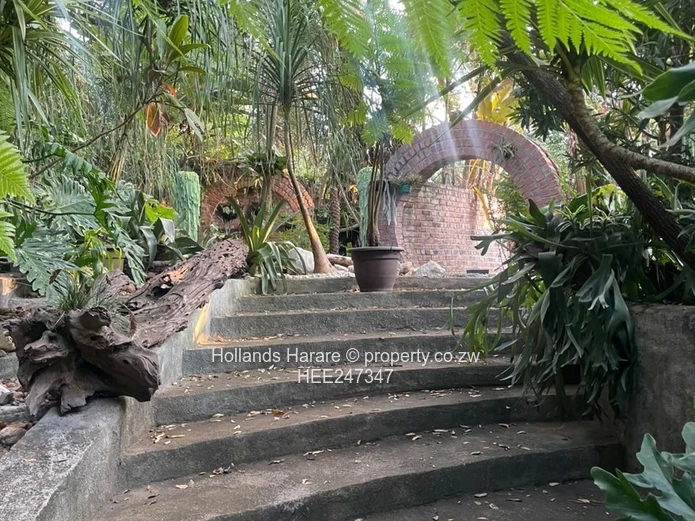 Incredible property in Glen Lorne