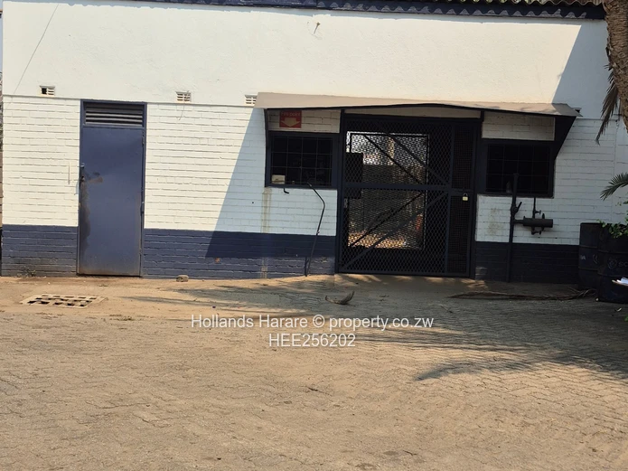 Massive Property In Willowvale