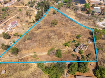 Stands & Residential Land