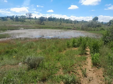 Farm & Agricultural Land