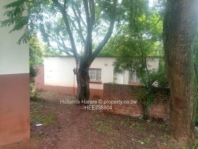 Avondale commercial property.