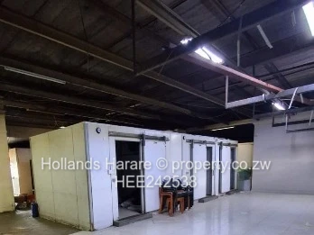 A Diamond in the Rough: High-Visibility Supermarket Site Ready for a Modern Revamp