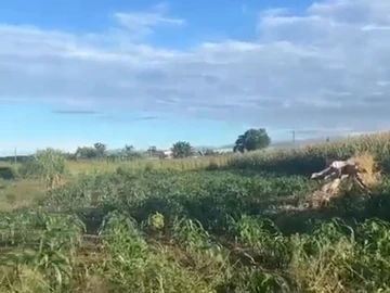 Land