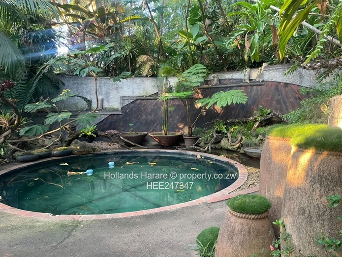Incredible property in Glen Lorne