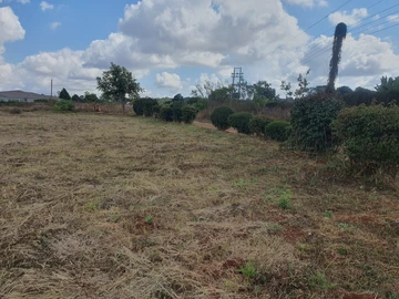 Land